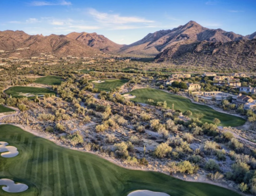 Discover the Lifestyle of Silverleaf
  